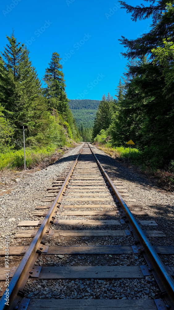 Canadian summer with forest backdrop showing railway Canadian summer with forest backdrop showing railway
