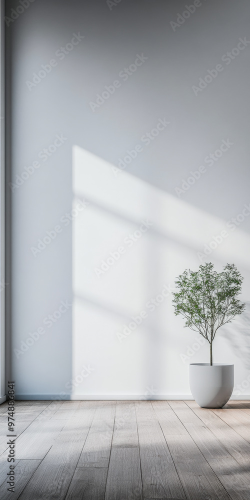 Minimalist room with a potted tree and natural lighting. Apartment interior design composition with ample copyspace. Minimalist room with a potted tree and natural lighting. Apartment interior design composition with ample copyspace.