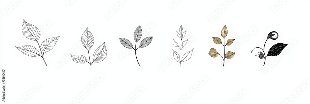 Set of 7 outline icons featuring birch leaves, branches, and other nature elements. Perfect for logo design, branding, and nature-themed projects. Set of 7 outline icons featuring birch leaves, branches, and other nature elements. Perfect for logo design, branding, and nature-themed projects.