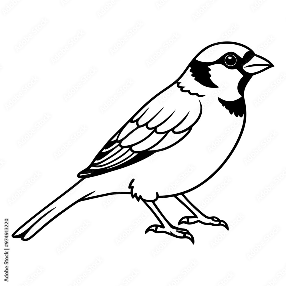 Obraz premium Sparrow line art vector, silhouette ,line cut , black and white line draw