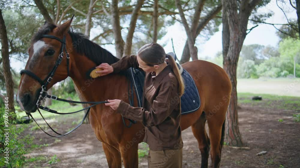 Lady groomer combing stallion with brush in farm closeup. Woman taking care pet Lady groomer combing stallion with brush in farm closeup. Woman taking care pet