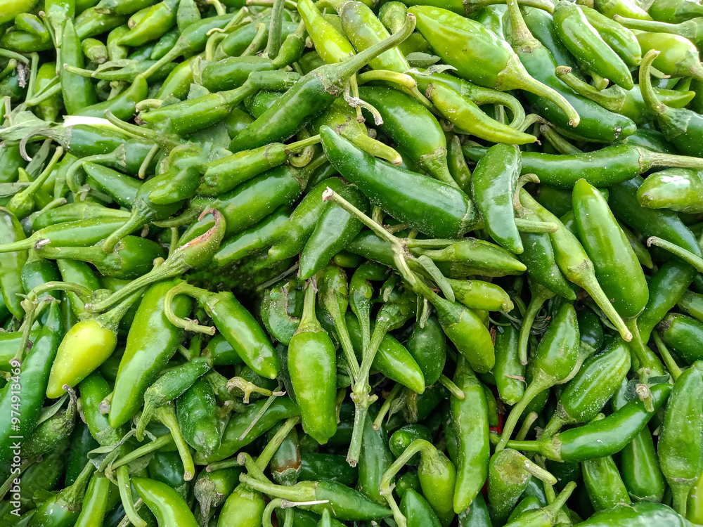 A Heap of raw Fresh Green Chillies is displayed on the stall in the market. Close Up Top view full frame background. A Heap of raw Fresh Green Chillies is displayed on the stall in the market. Close Up Top view full frame background.