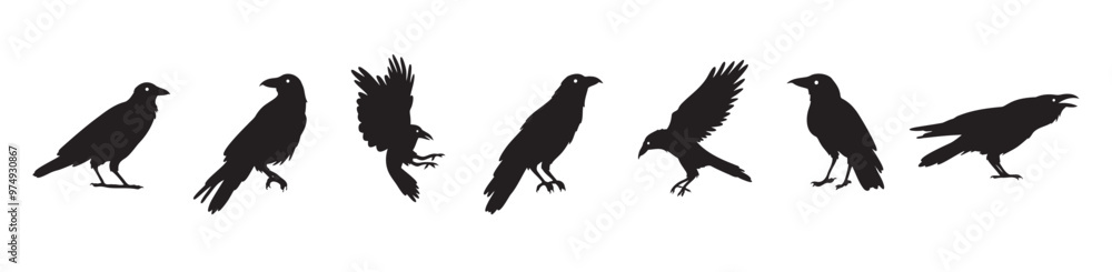 Obraz premium Crow isolated black silhouette set. Crows, raven halloween Dark birds icon clipart