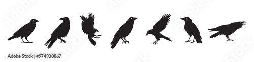Crow isolated black silhouette set. Crows, raven halloween Dark birds icon clipart