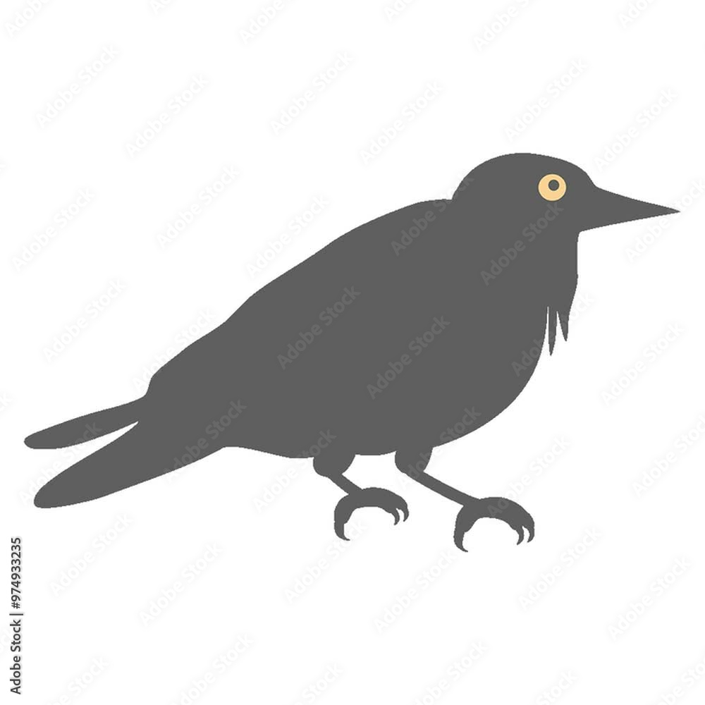 crow crow