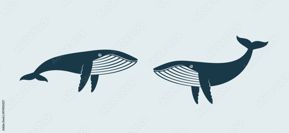 Fototapeta premium Whale logo. Isolated whale on blue background