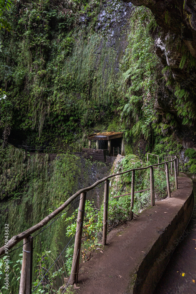 Fototapeta premium Water channel Levada on Madeira island on rainy winter day