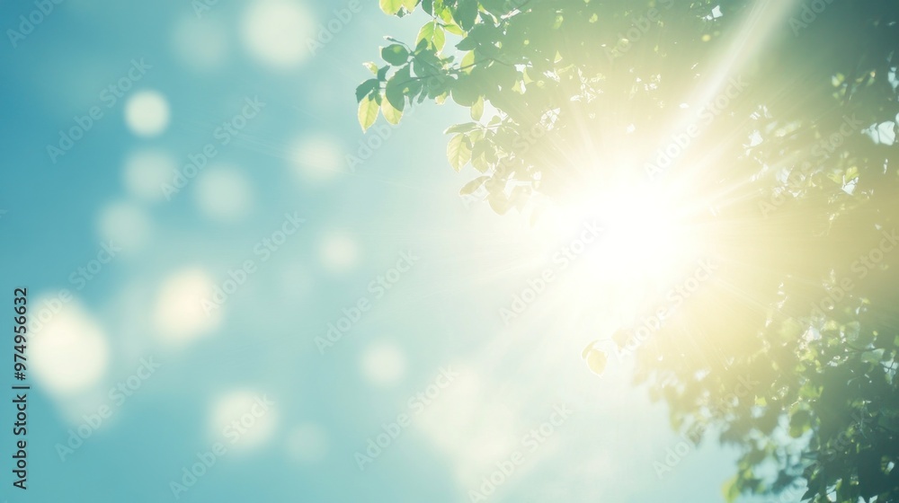 The bright and sunny sky collaborates with the sunlight, creating a calm and refreshing atmosphere with soft blue gradations that add depth to the scenery The bright and sunny sky collaborates with the sunlight, creating a calm and refreshing atmosphere with soft blue gradations that add depth to the scenery