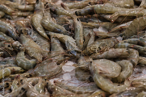 Fresh Shrimp on Ice at Seafood Market