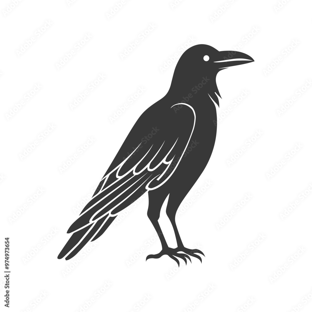 Black and white silhouette of a crow standing on a white background Black and white silhouette of a crow standing on a white background
