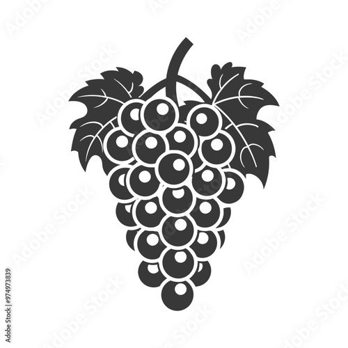 Black and white silhouette of a grapevine with grapes