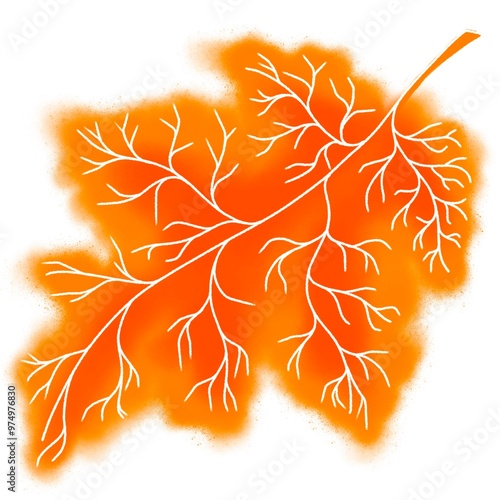 Illustration of an autumn leaf