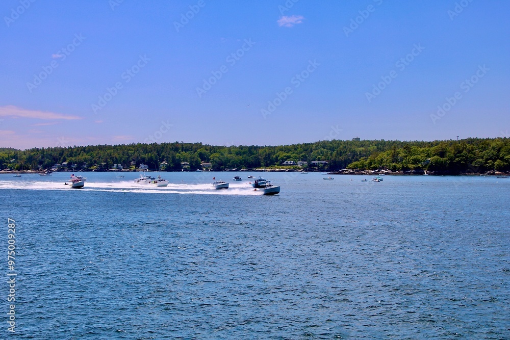 Obraz premium Lobster Races