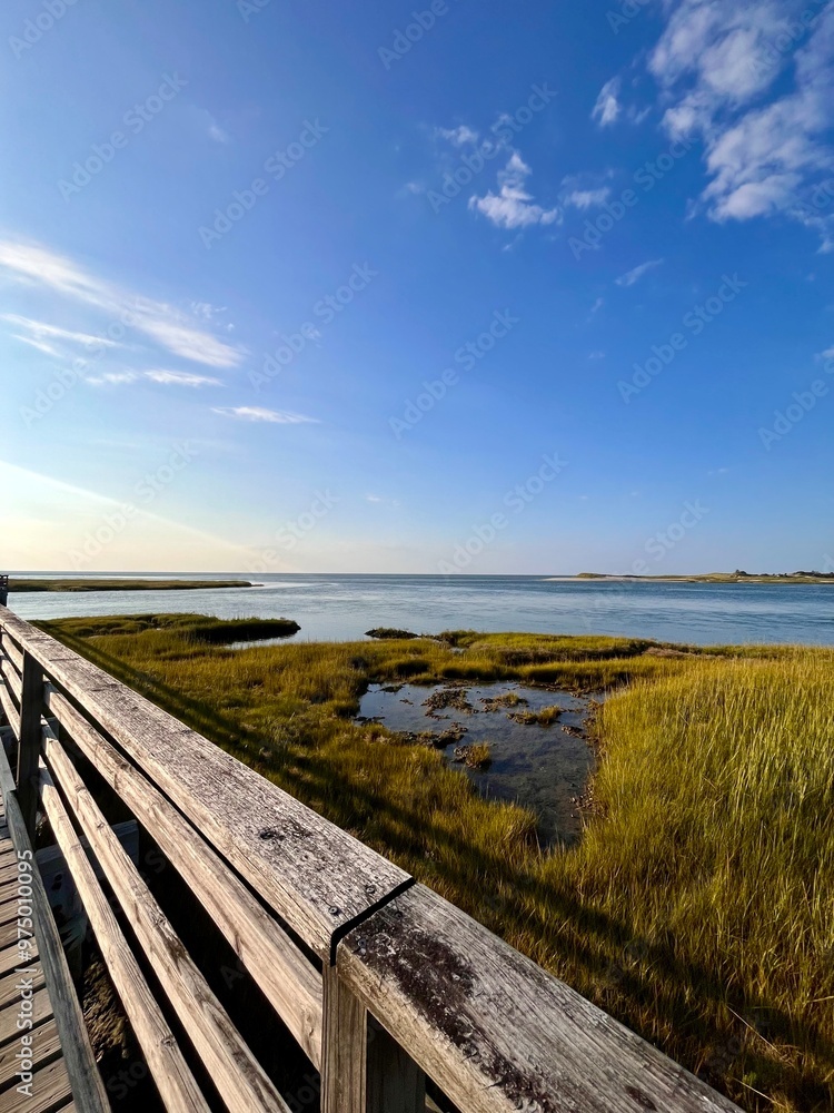Fototapeta premium marsh view 