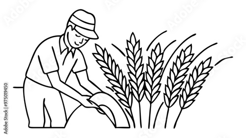 man harvesting wheat, wheat harvesting, vector, presentations, website