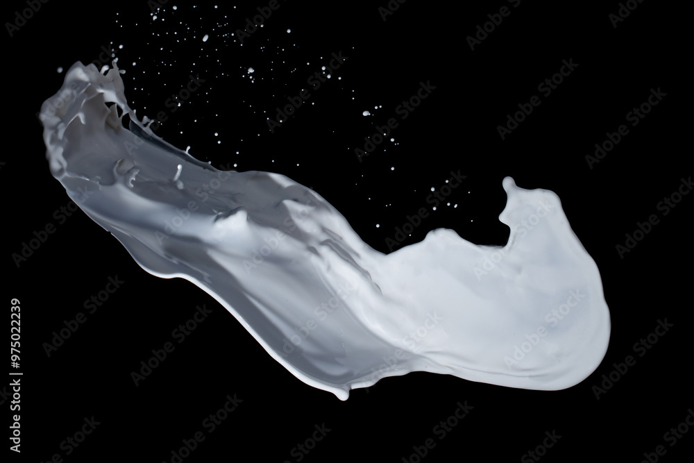 milk or white liquid splash on white background. milk or white liquid splash on white background.