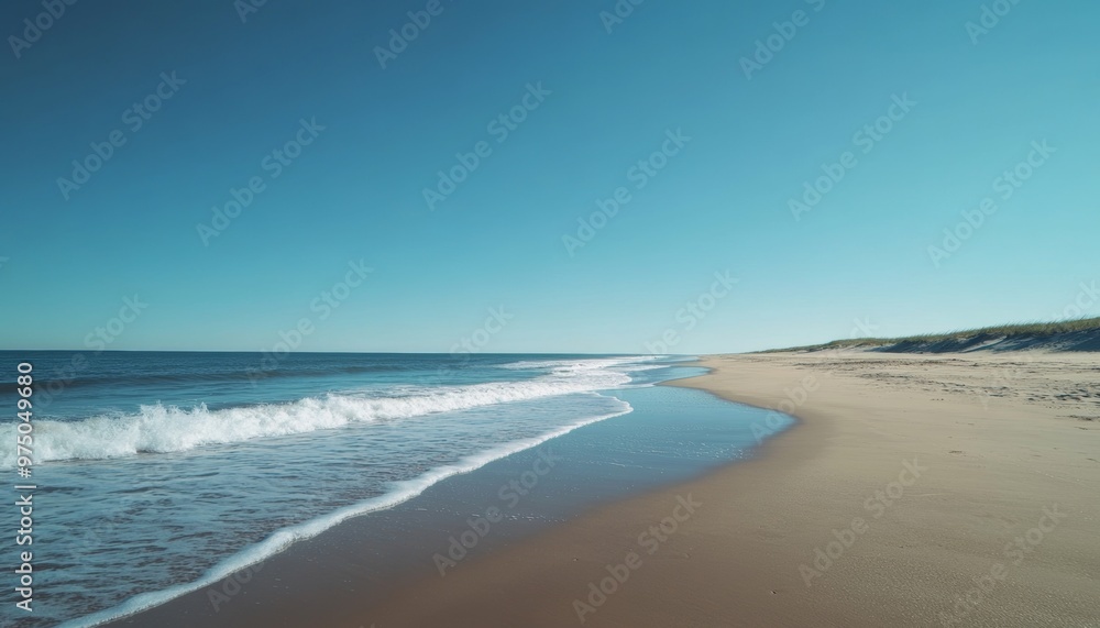 Tranquil Beach Escape under a Clear Blue Sky and Serene Waves Tranquil Beach Escape under a Clear Blue Sky and Serene Waves