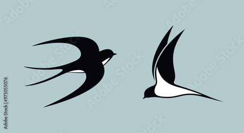 Swallow logo. Isolated swallow on blue  background