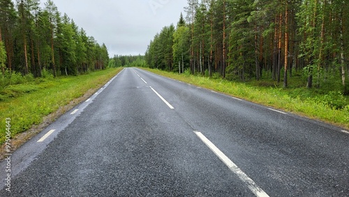 road in the forest