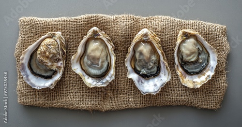 Fresh oysters displayed on burlap with shells open, showcasing their unique a...