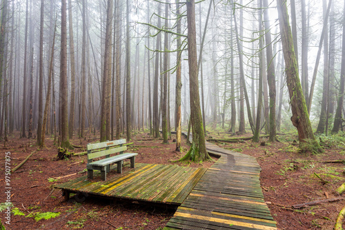 An inviting wooden bench sits on a platform beside a winding boardwalk in a misty forest in Burns Bog, North Delta, British Columbia