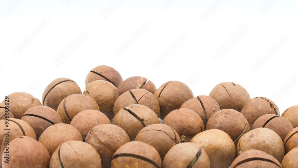 Macadamia nuts on a white background