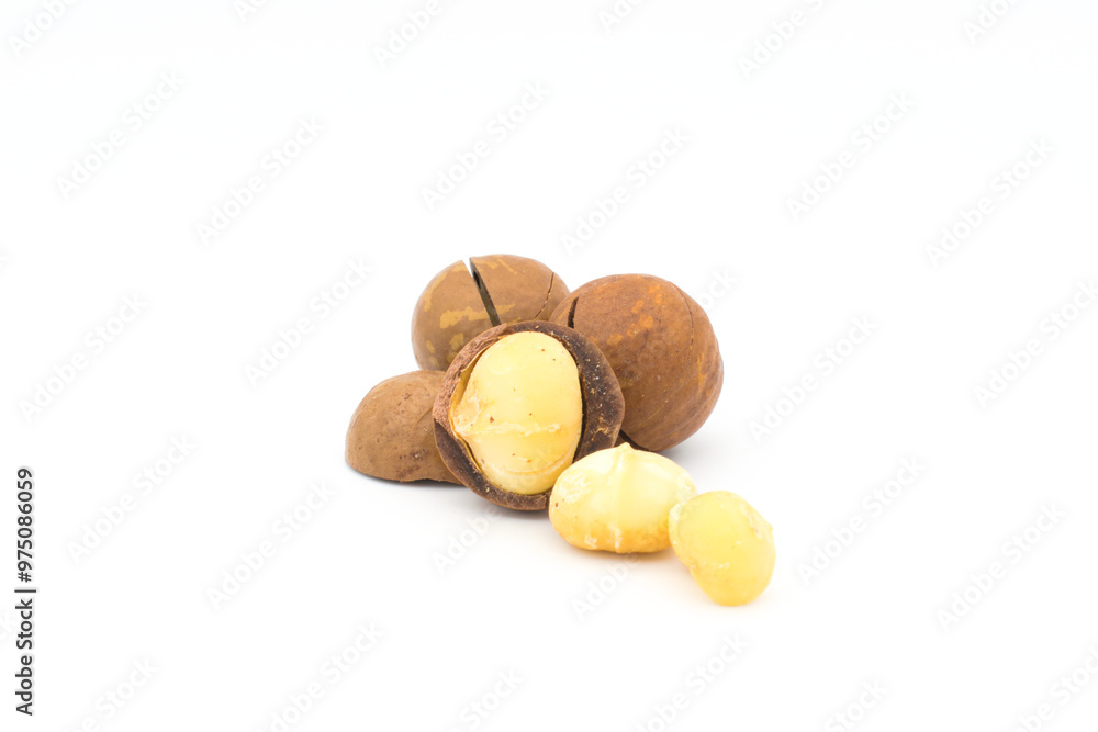 Macadamia nuts on a white background