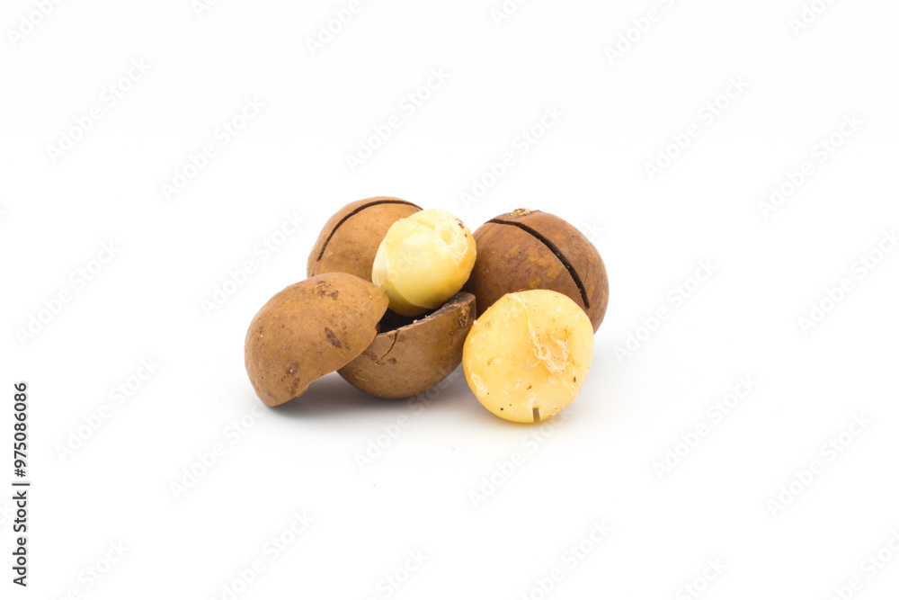 Macadamia nuts on a white background