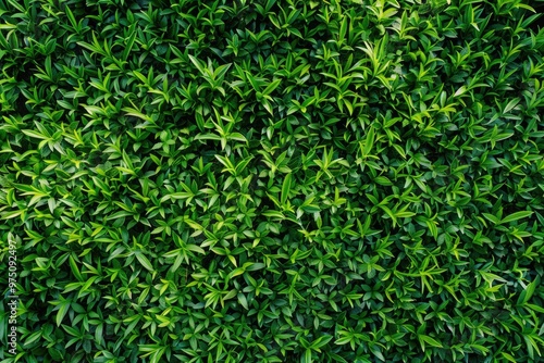 Green grass wall texture for backdrop design and eco wall and die cut for artwork.