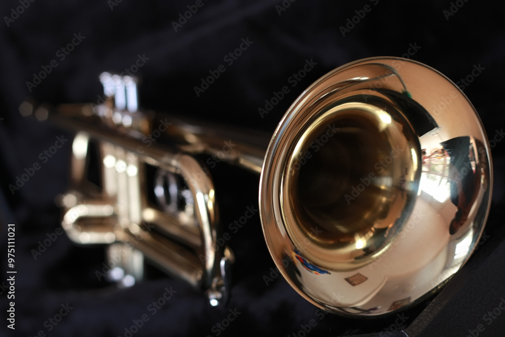 Obraz premium Trumpet in it's box
