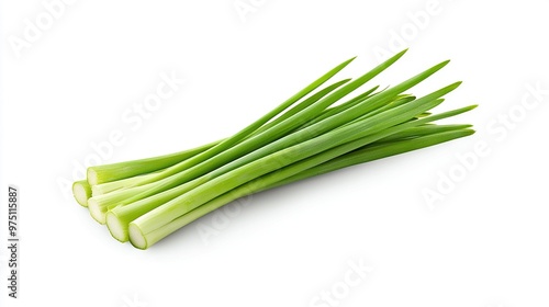  Close-up of celery on white background with side clippings