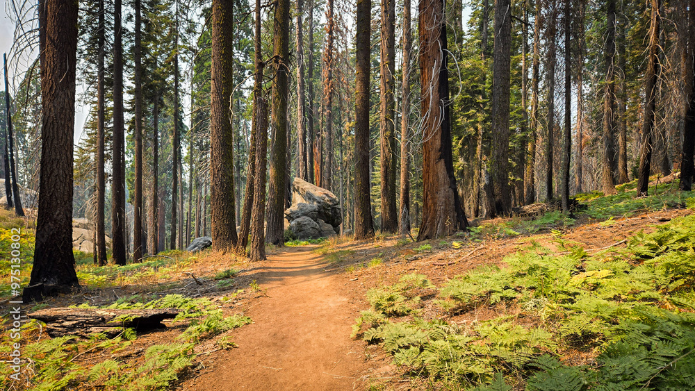 Fototapeta premium Rock at the end of the road
