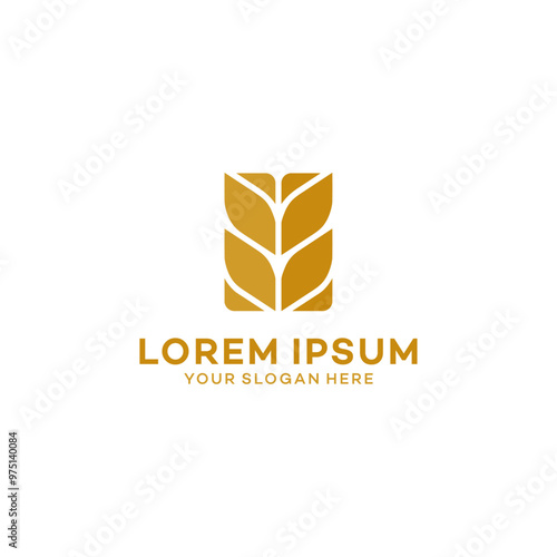 Luxury Grain wheat logo concept, Agriculture wheat Logo Template vector icon photo