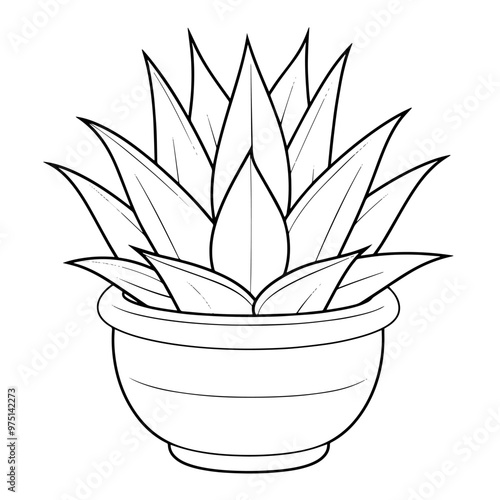 Minimalist vector outline of an agave icon for versatile use.
