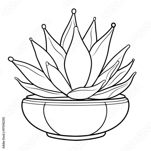 Minimalist vector outline of an agave icon for versatile use.