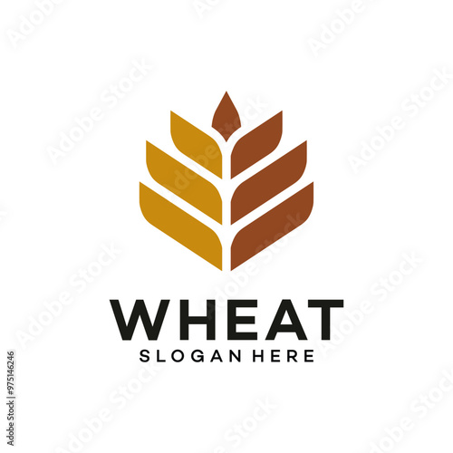 Luxury Grain wheat logo concept, Agriculture wheat Logo Template vector icon