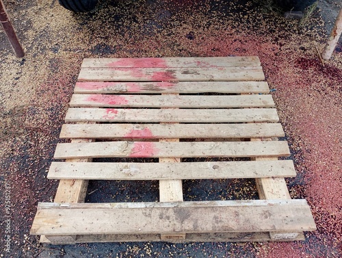 A wooden industrial pallet with traces of red color from the poison used to process the wheat for sowing. Spilled grains of rubbed wheat around an industrial pallet. photo