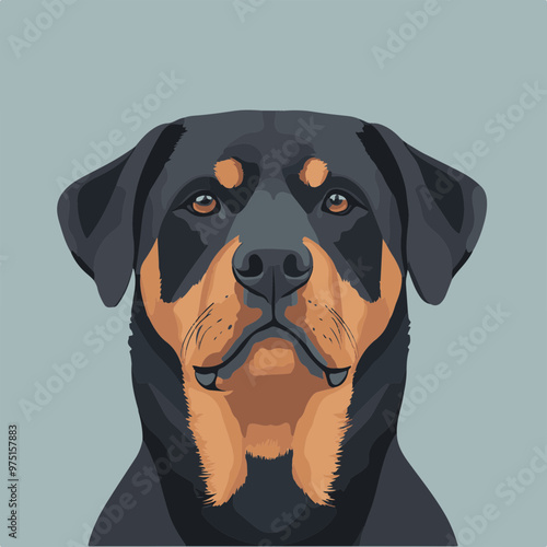 Portrait of a Rottweiler Dog on Minimalist Background