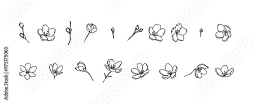 black line art of cherry blossom flower vector asset collection floral element with flower blooms and buds