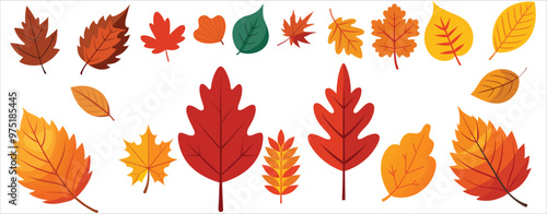 Set of autumn leaves