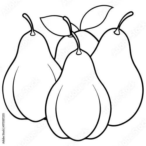 various pears outline coloring book page line art drawing