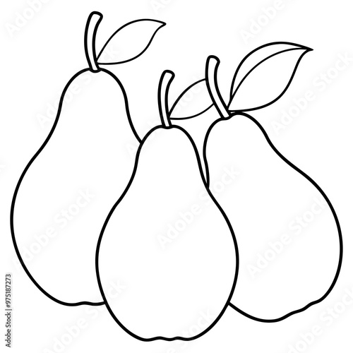 various pears outline coloring book page line art drawing