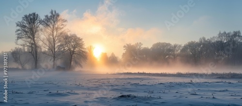 Morning Fog On The Winter