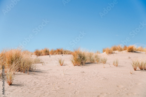 Sand Dunes Against a Blue Sky