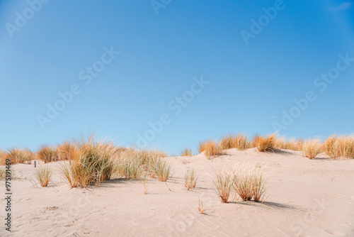 Sand Dunes Against a Blue Sky