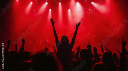 Crowd at a Concert photo