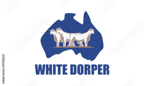 great dorper sheep with australian map poster, silhouette of happy and healthy ram standing vector illustrations