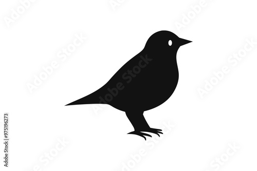 Cute Robin Bird vector  art and illustration photo