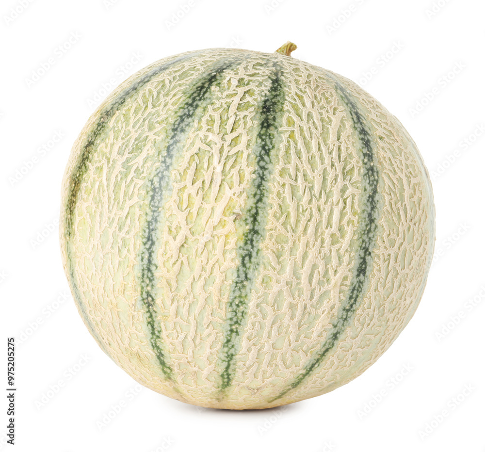 One whole Cantaloupe melon isolated on white