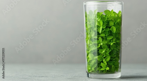 Wallpaper Mural fresh green herbs in glass container Torontodigital.ca